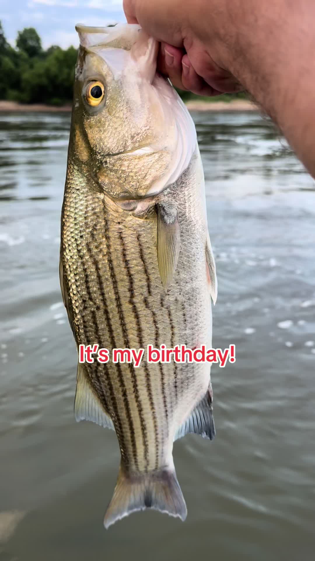 @Kentucky&ensp;Fishing