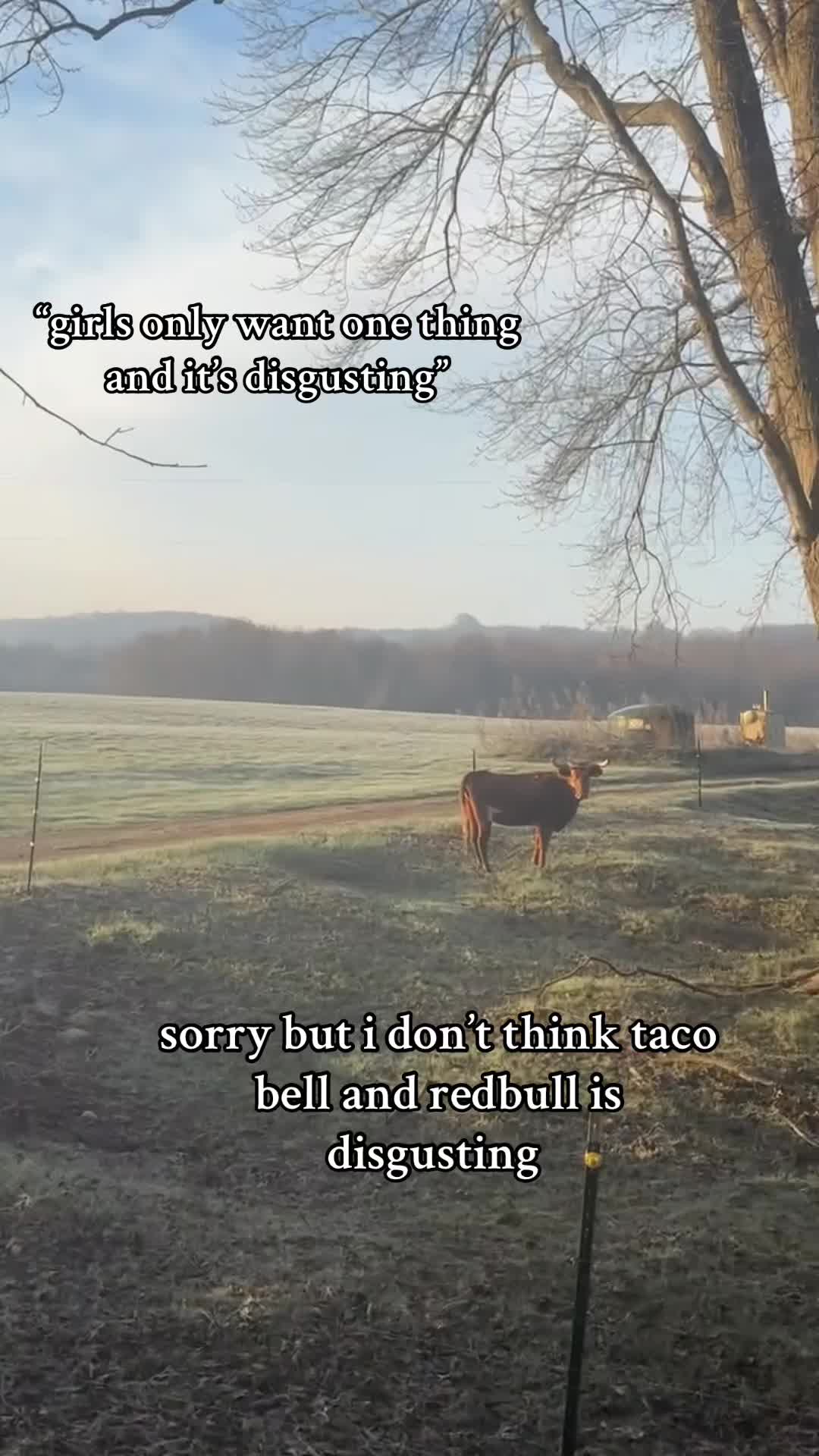 @madison
