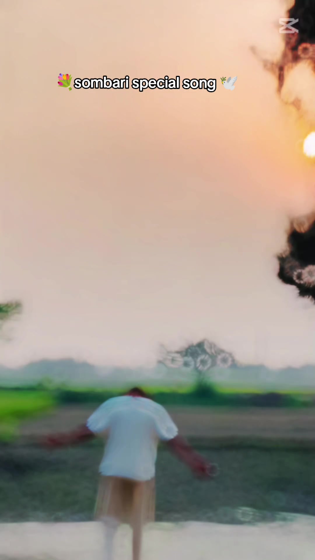 @R ░A░M░J░A░N♡࿐