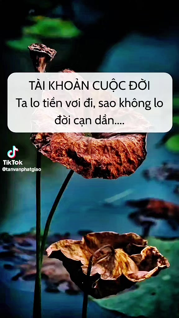 @LANTRUONG
