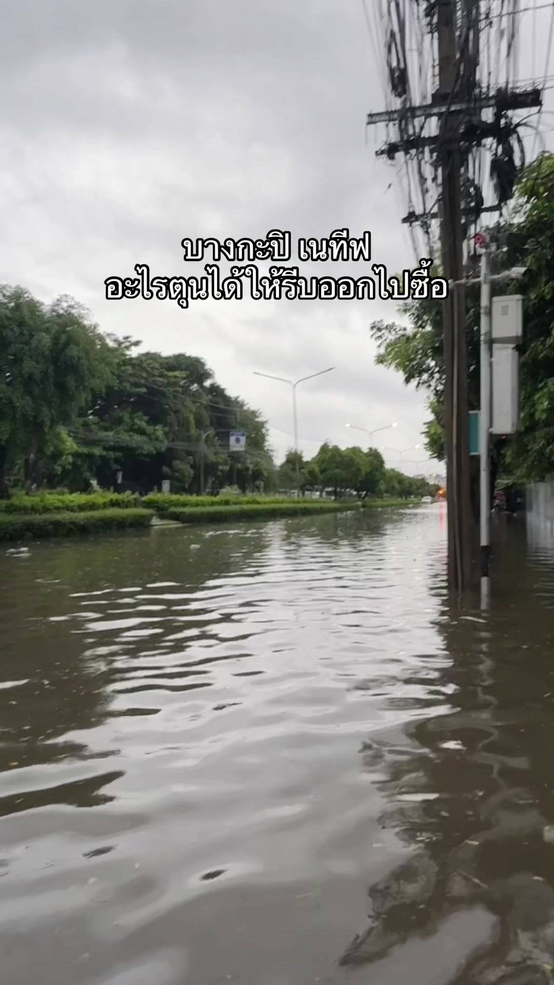 @นานิวไม่ใช่นินิว