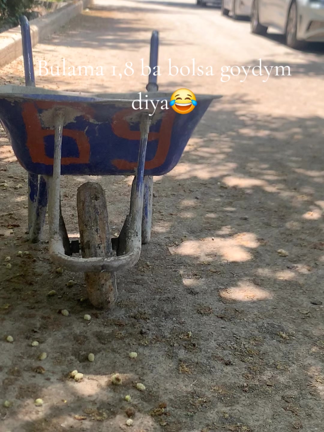 @ℳ𝓊𝓇𝒸𝒽ℯ𝓁𝓁ℴ_
