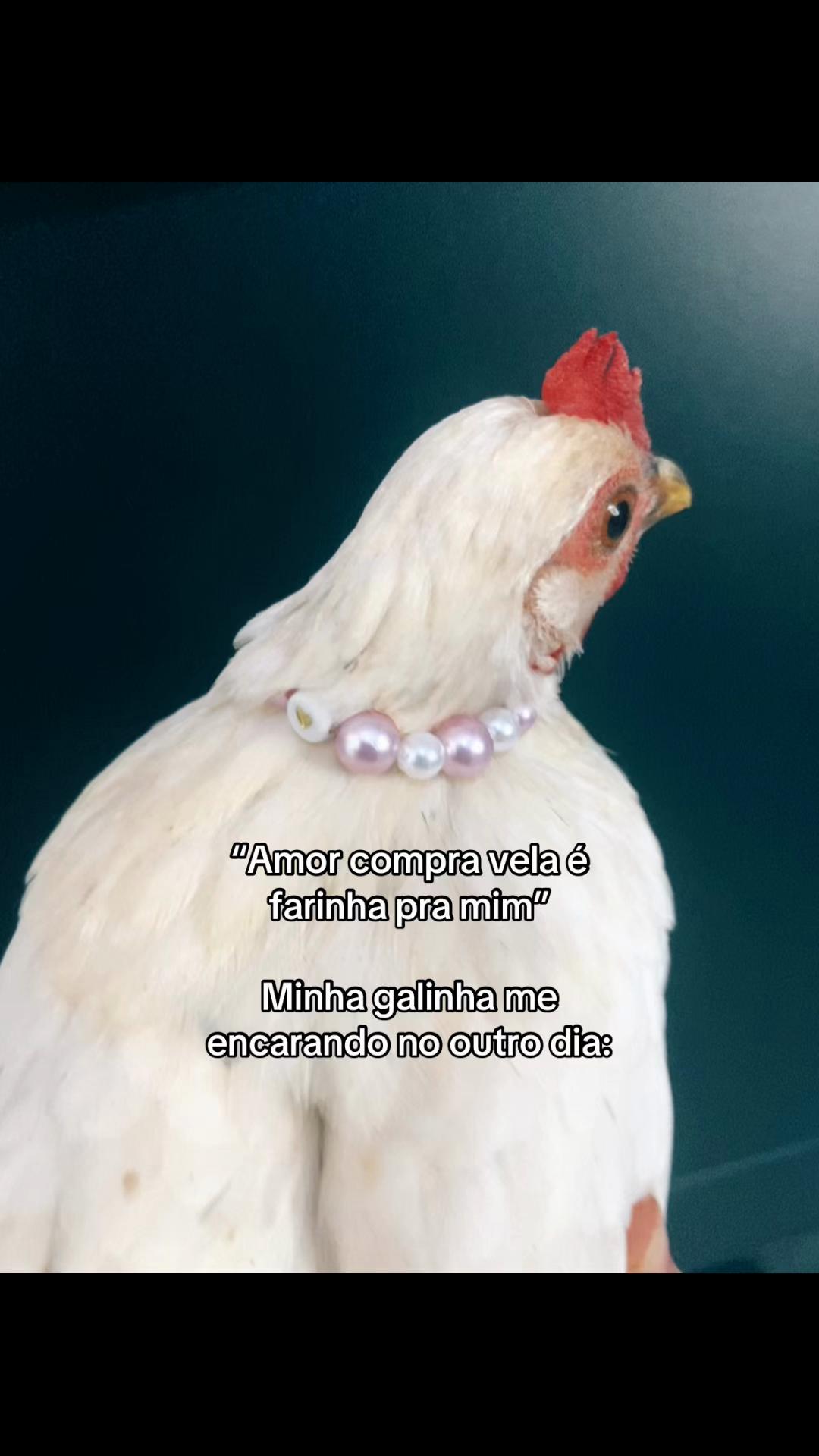 @Eleven brasileira 🇧🇷