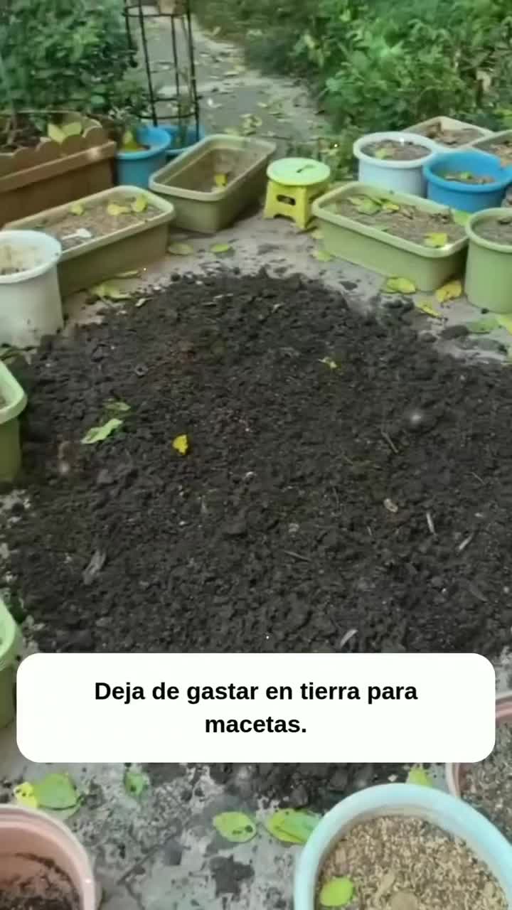 @MIJARDIN