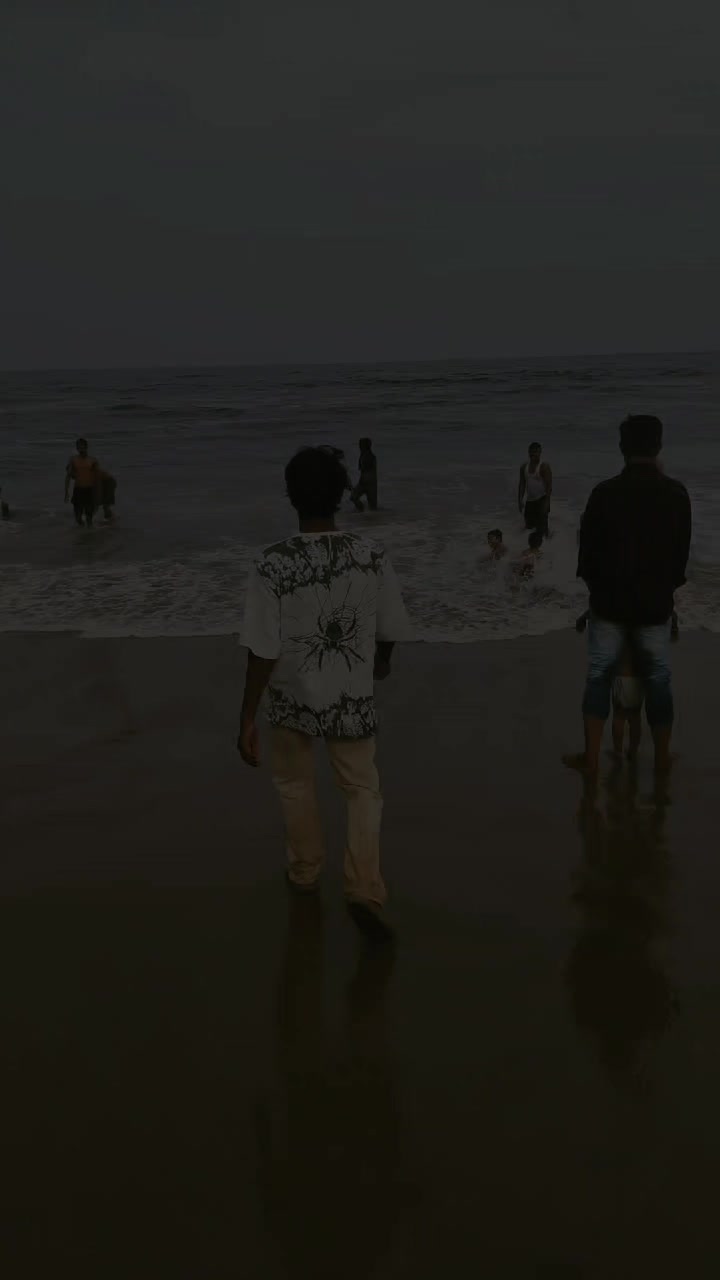 @🐬