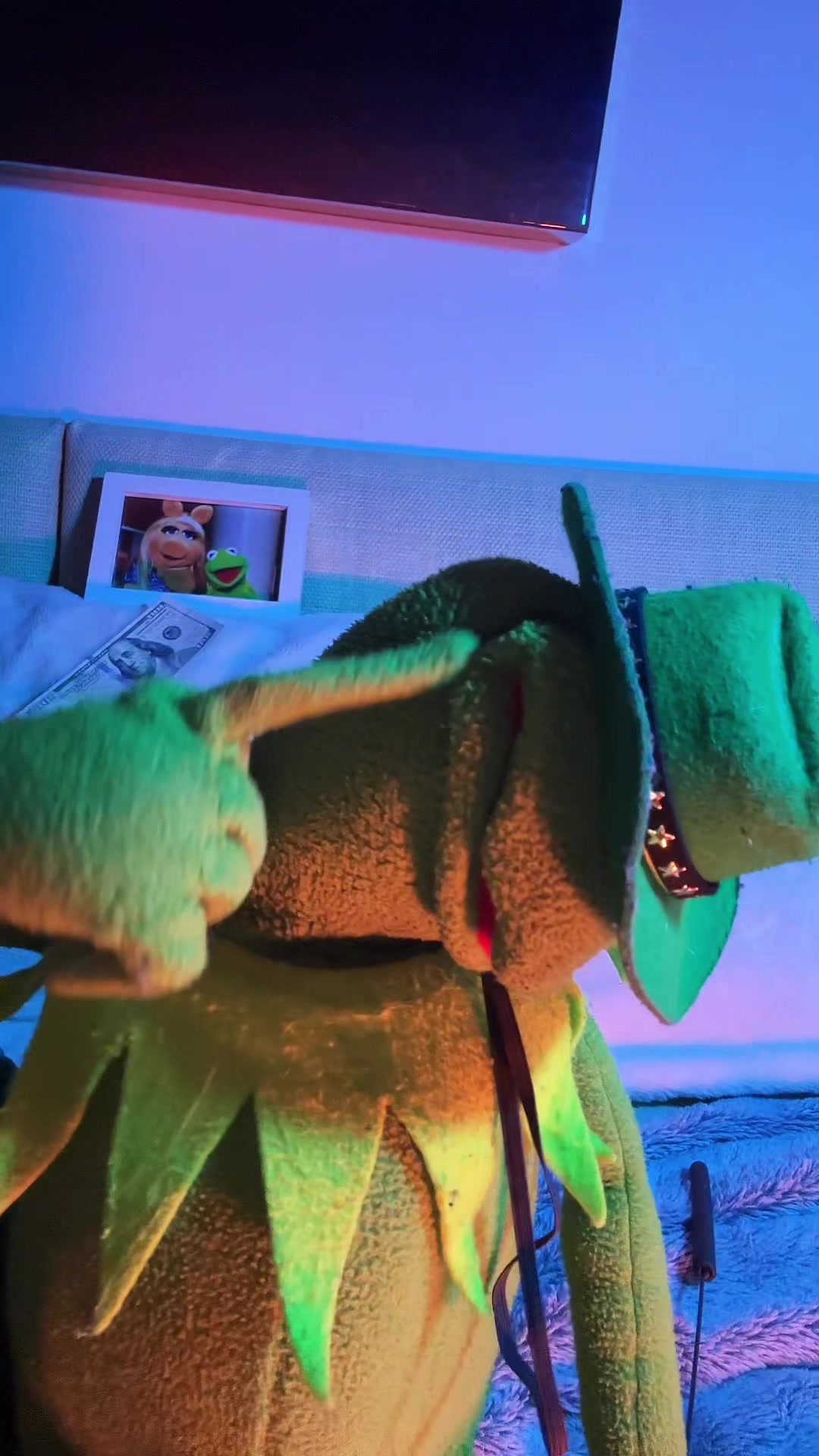 @🐸 Crashout Kermy 🐸