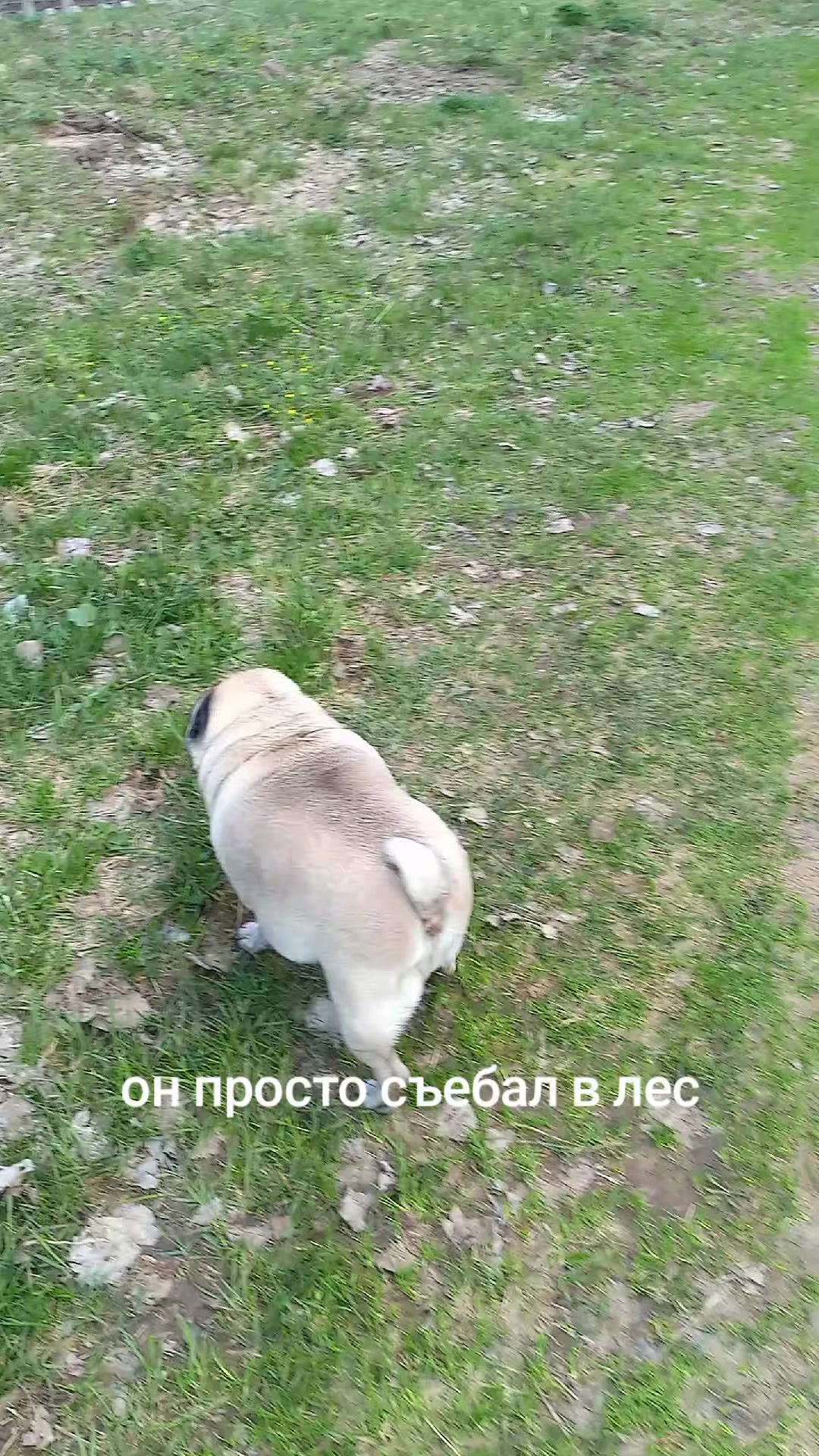 @tg: SamMops76