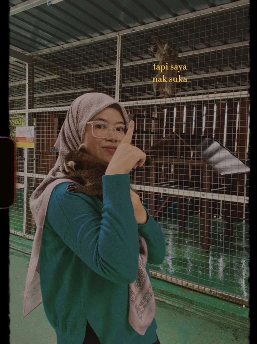 @Walin Fat Cat
