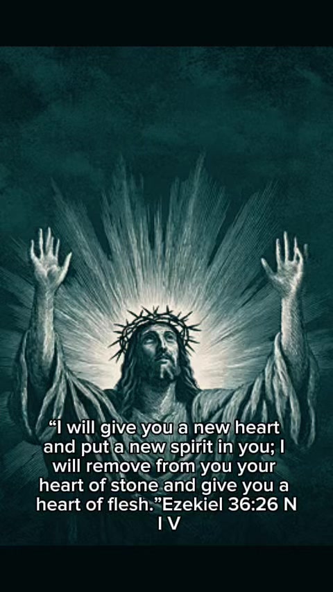 @dailydoseofsoulhealing