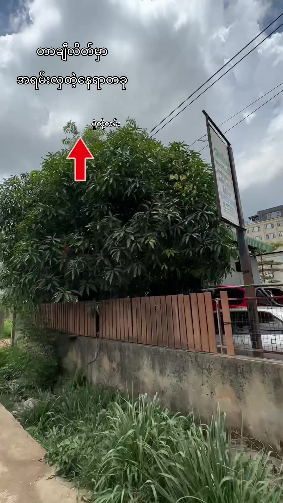 @MaiChan Vlog đđ¸