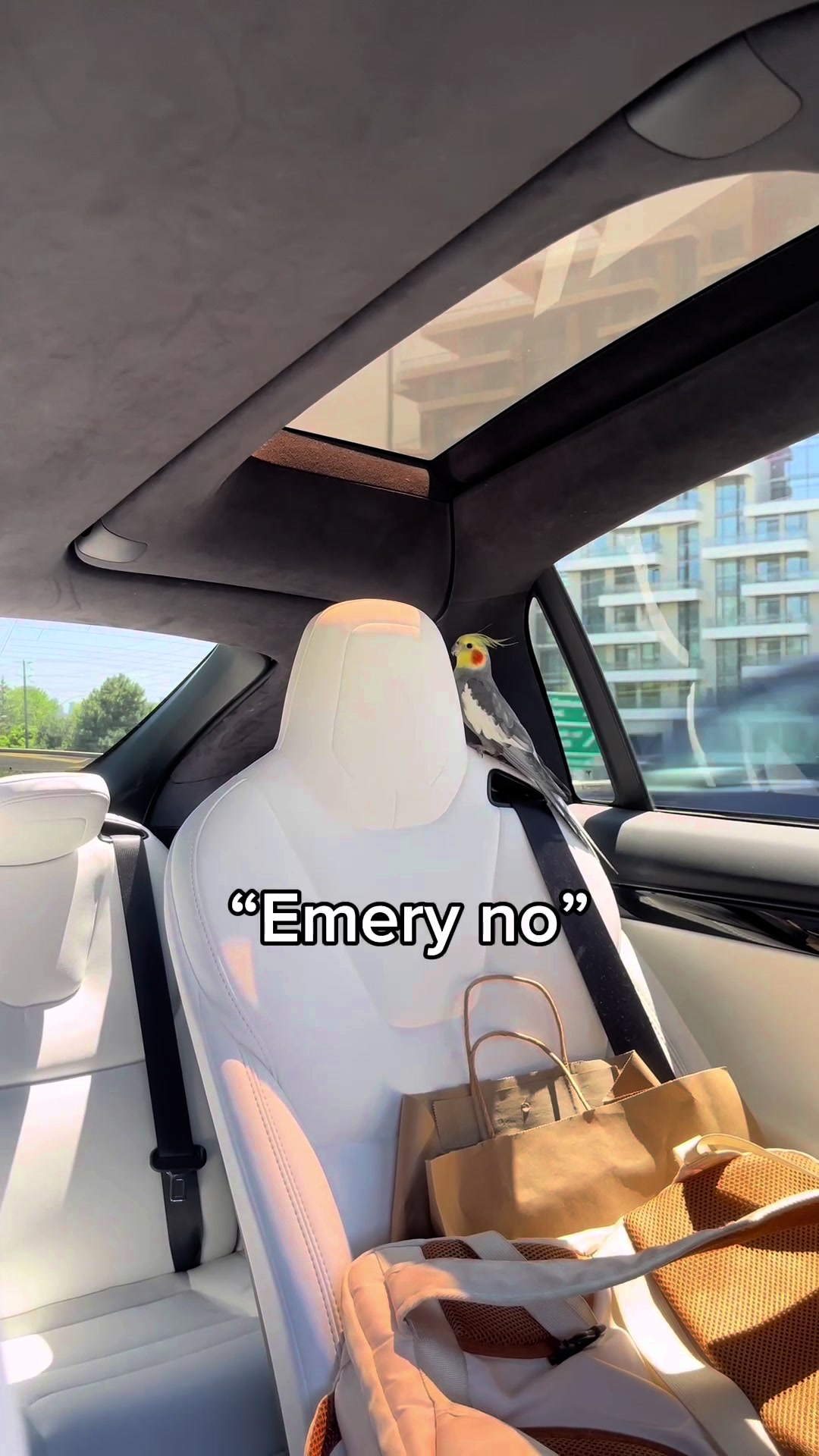 @Emery The Branch Manager