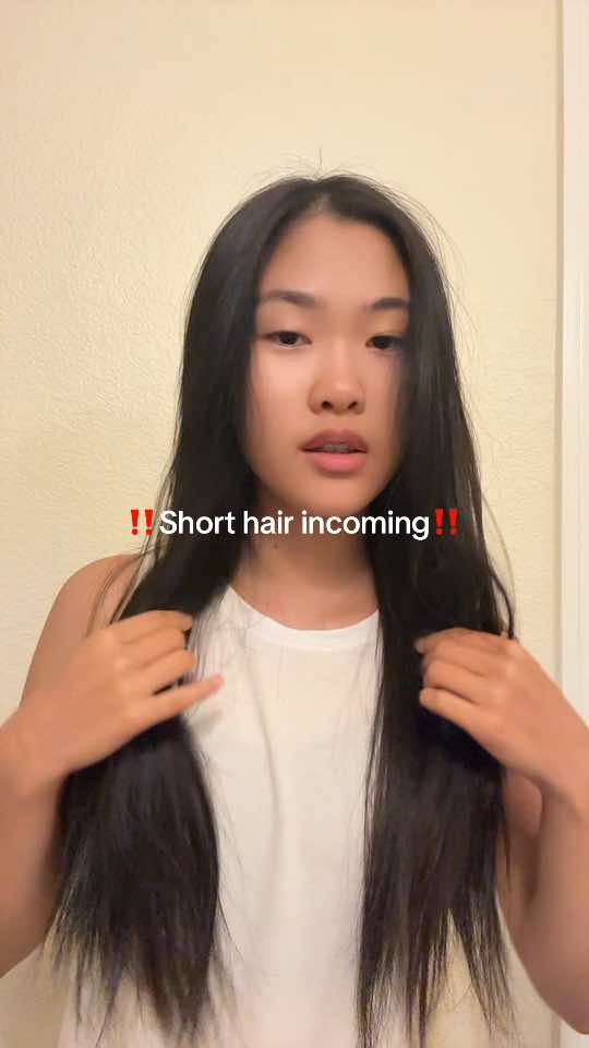 @Sophia H. Lim