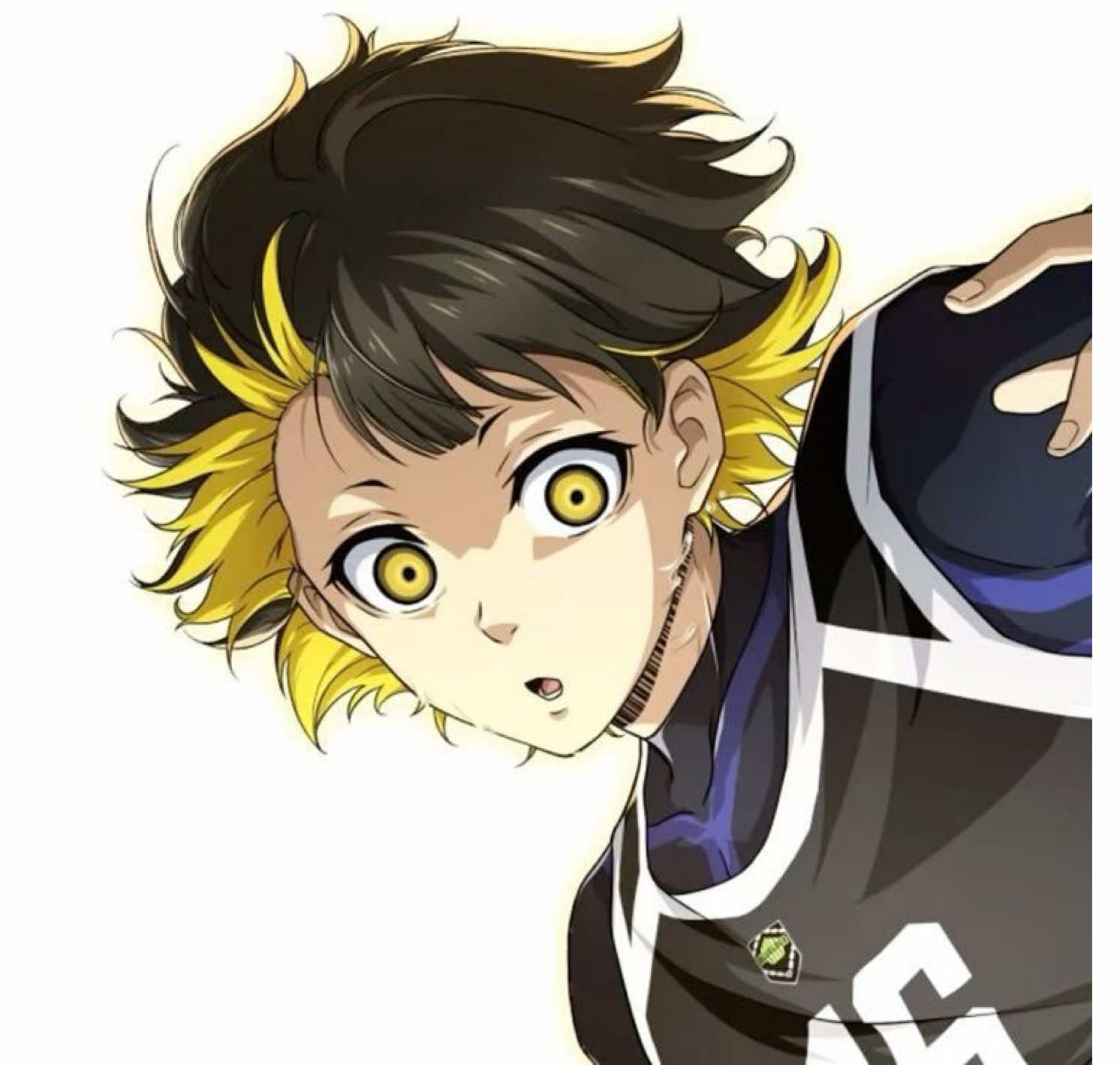 @⋮ ⌗ ┆ saku 🦉🧩