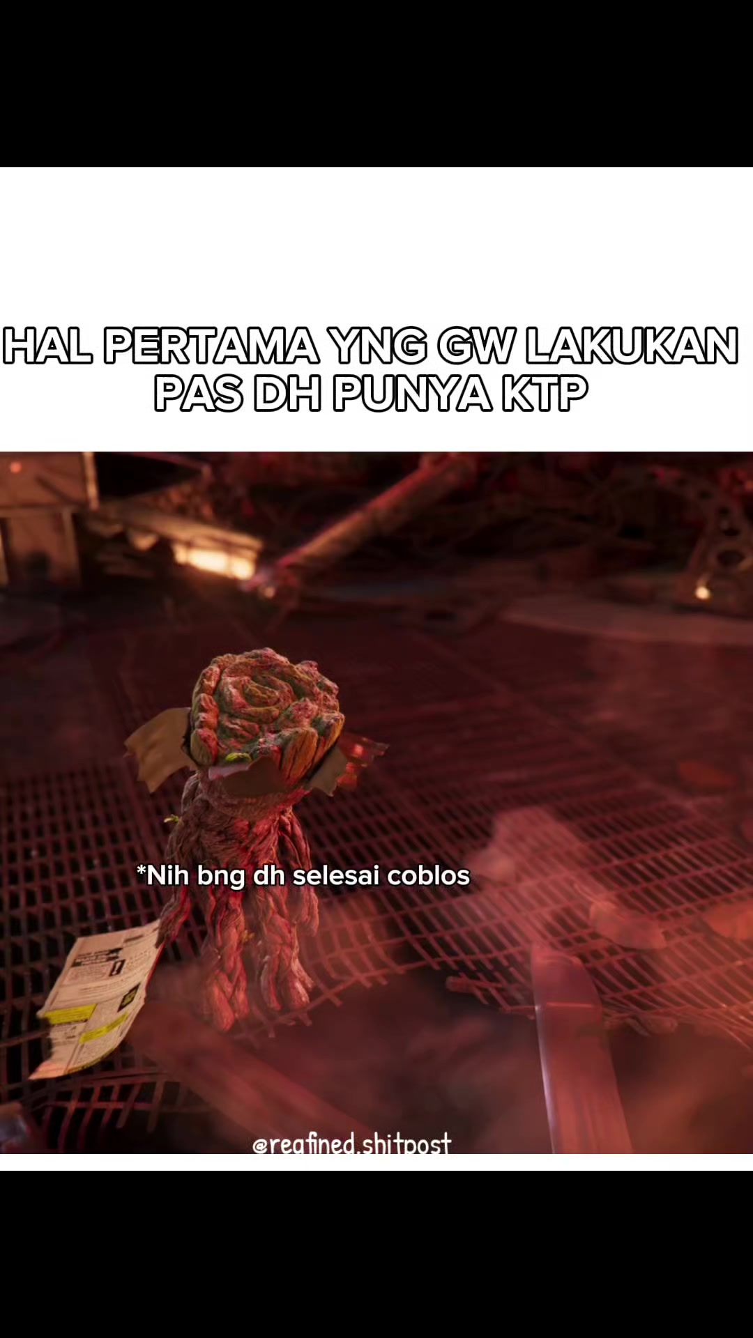@reafined.shitpost