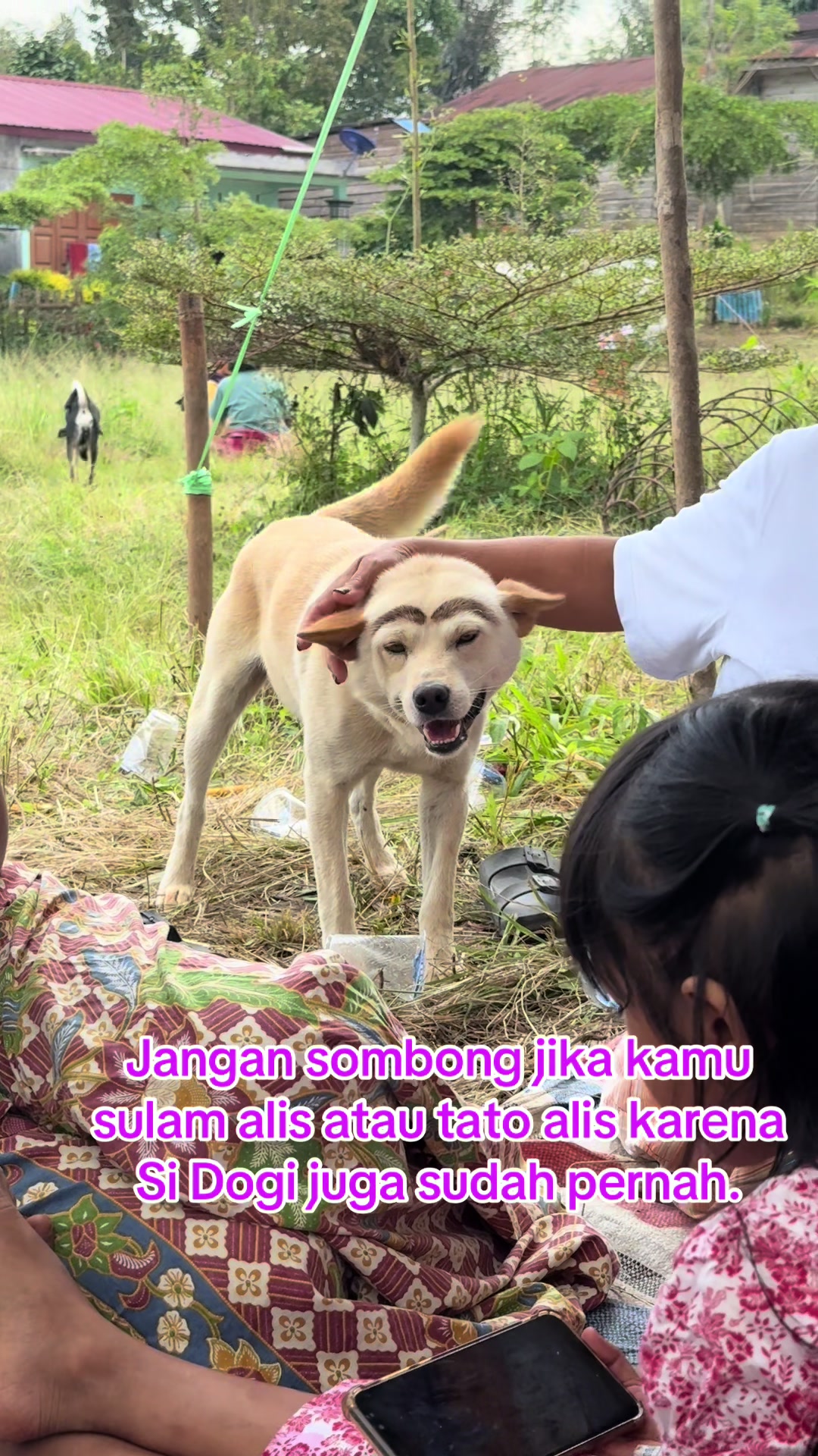 @Pak Don