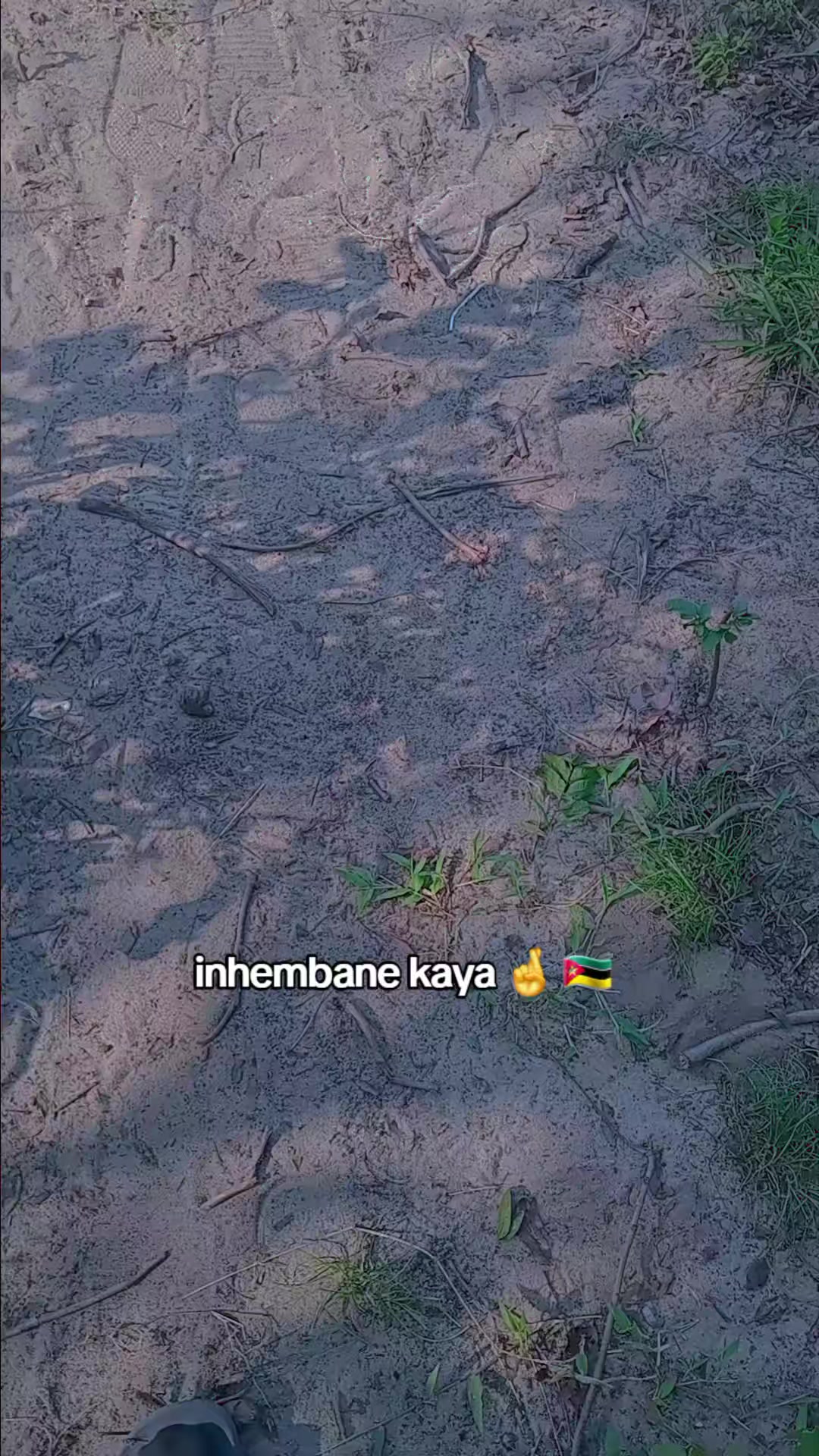 @thefiltonyboy●○