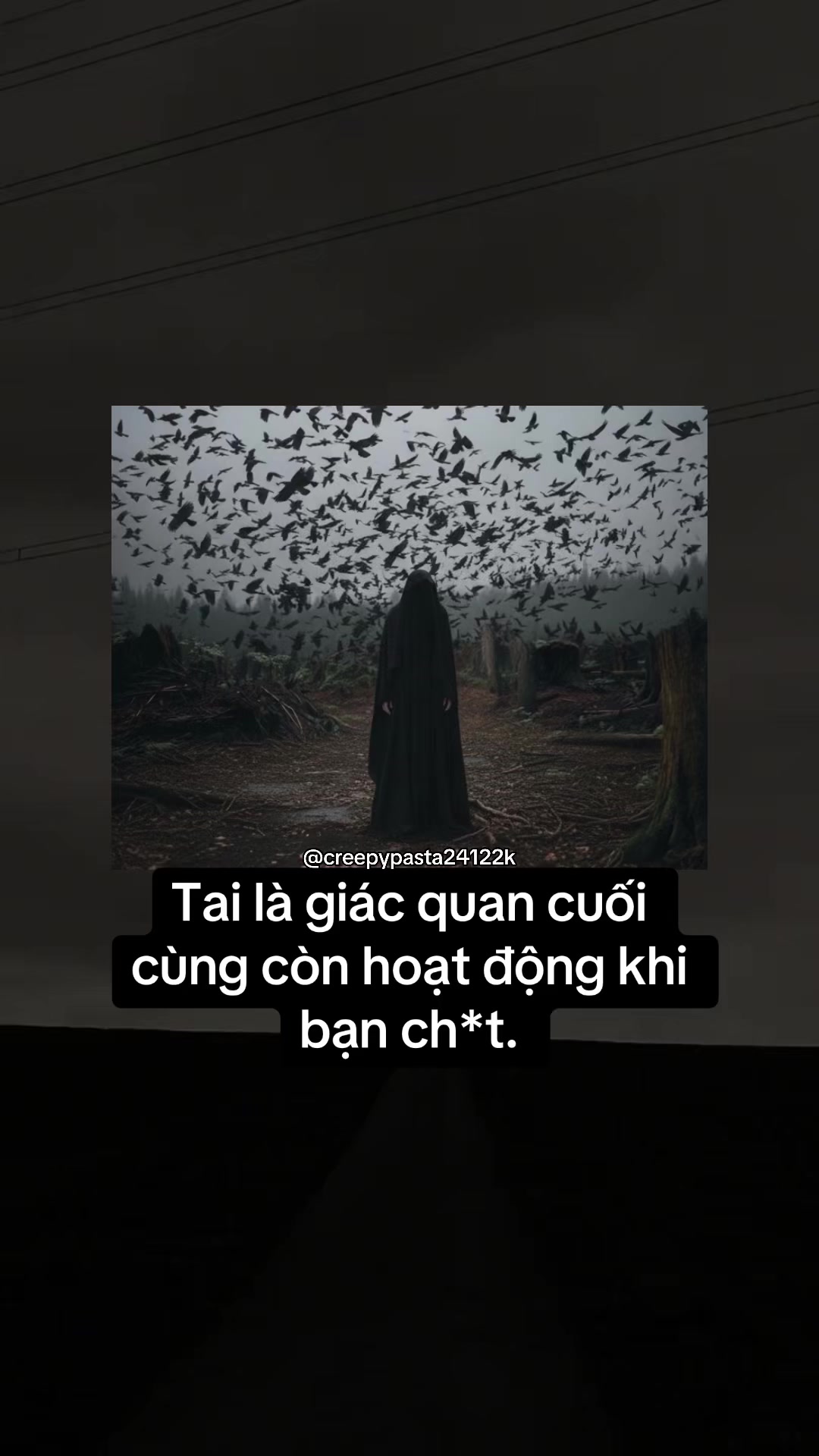 @𝐂𝐎𝐃𝐄𝐗