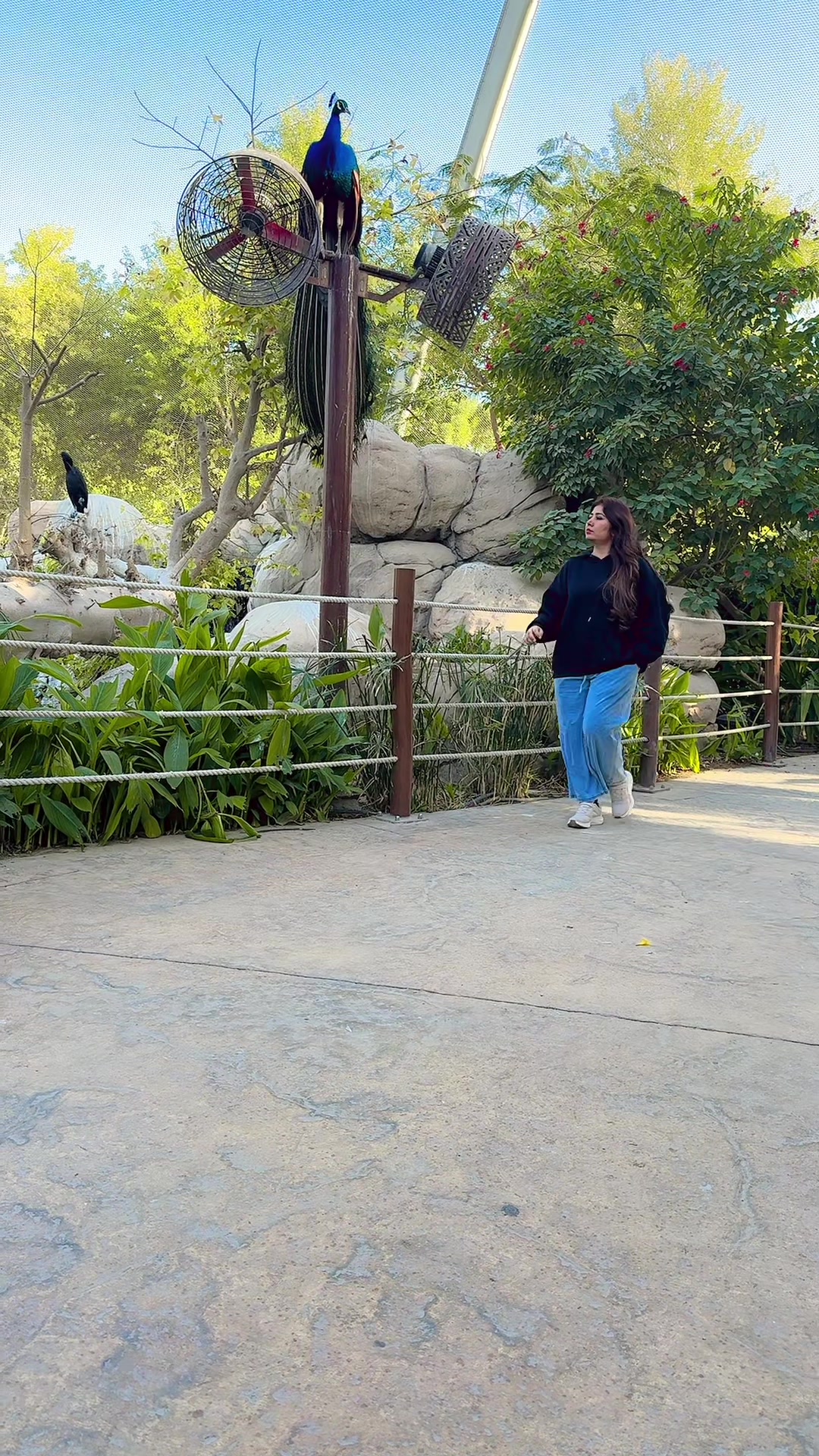 @Emanmitho 🇦🇪 🇵🇰