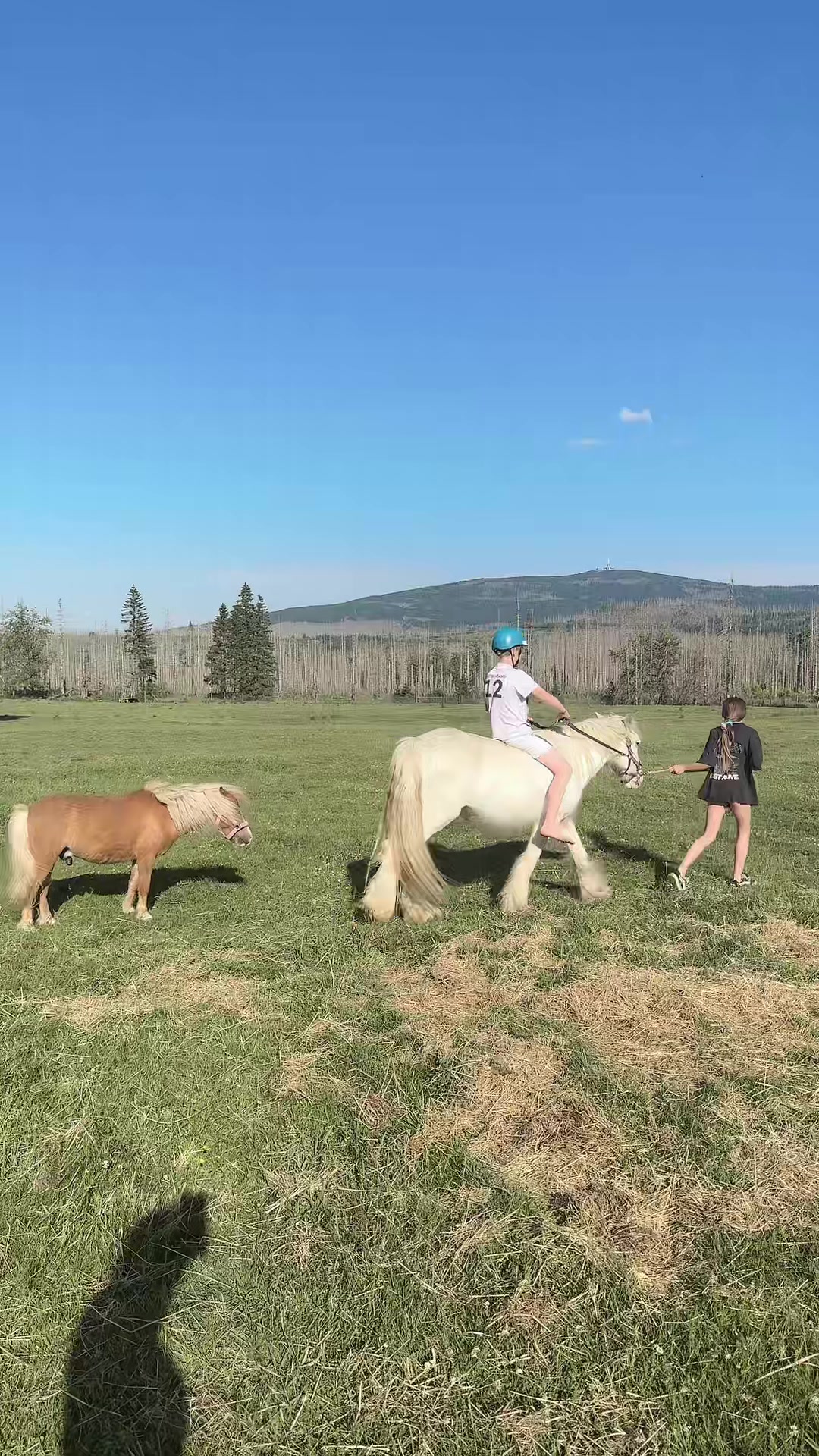 @HafiHorse2