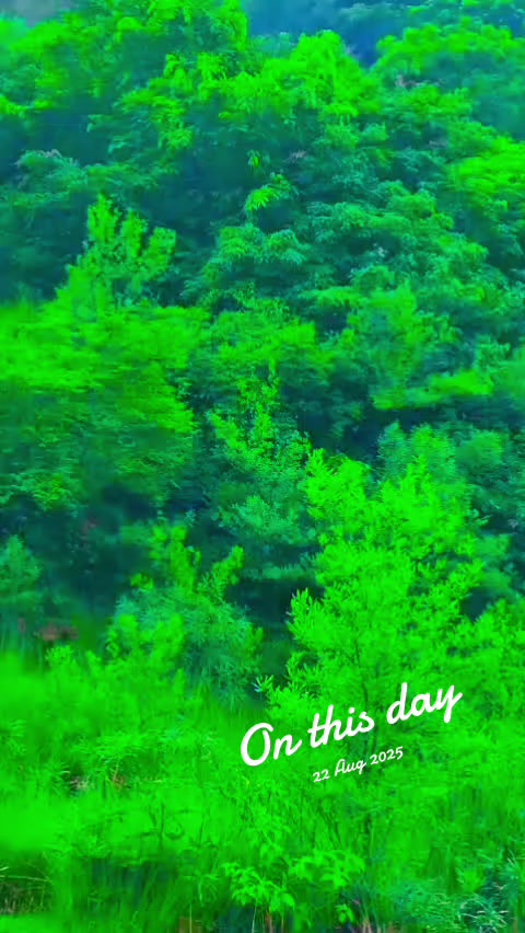 @zafar 52239