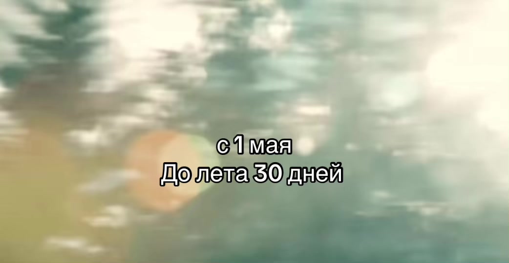 @riskqq0