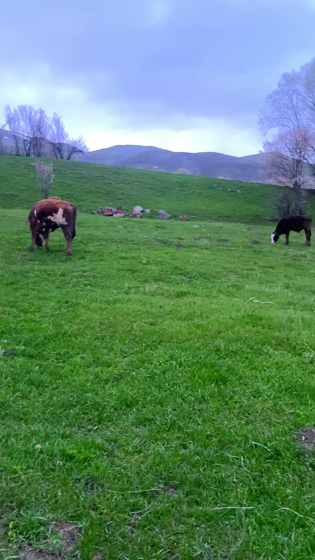 @doğukan