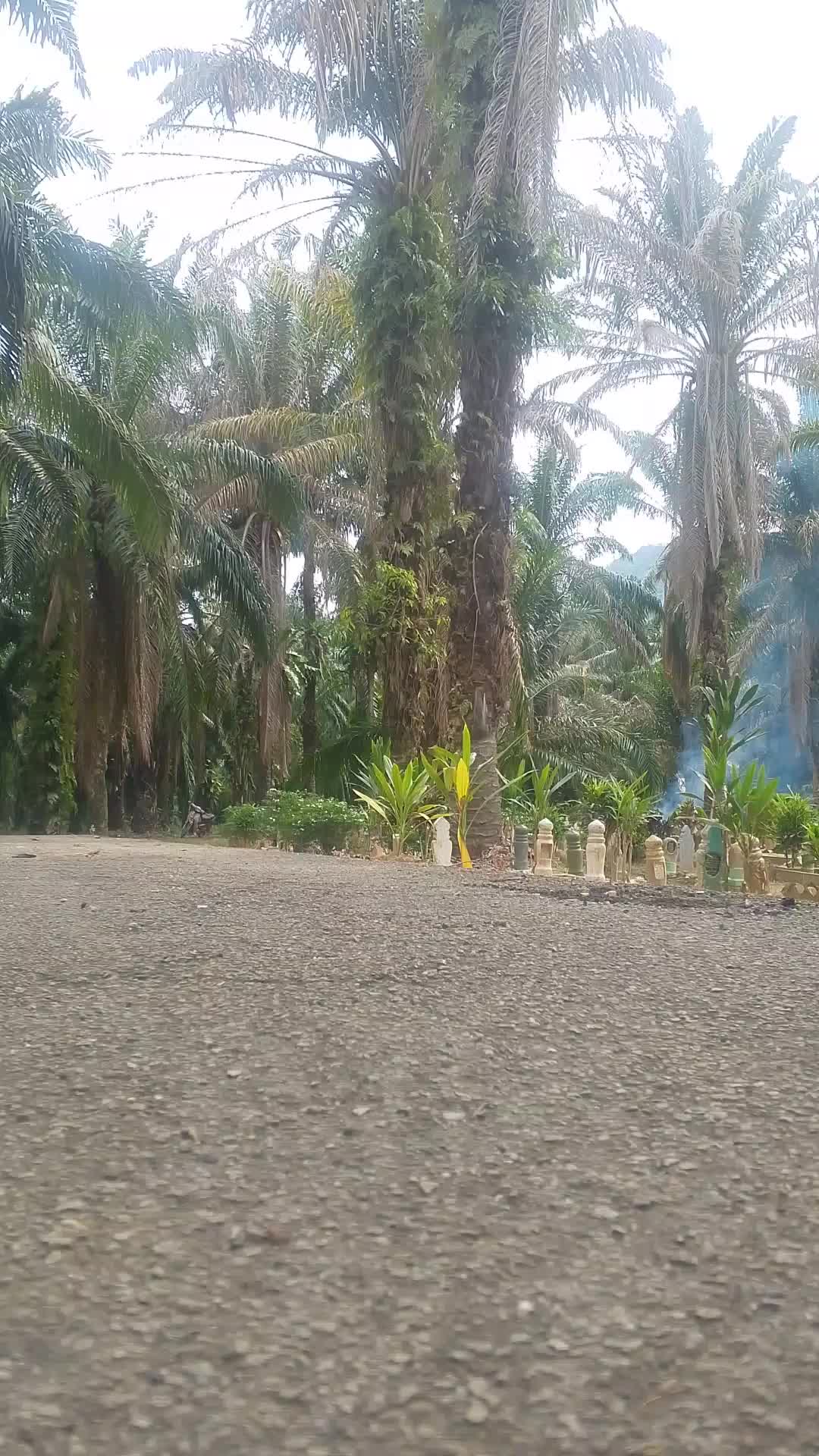 @Mohamad Zamri II