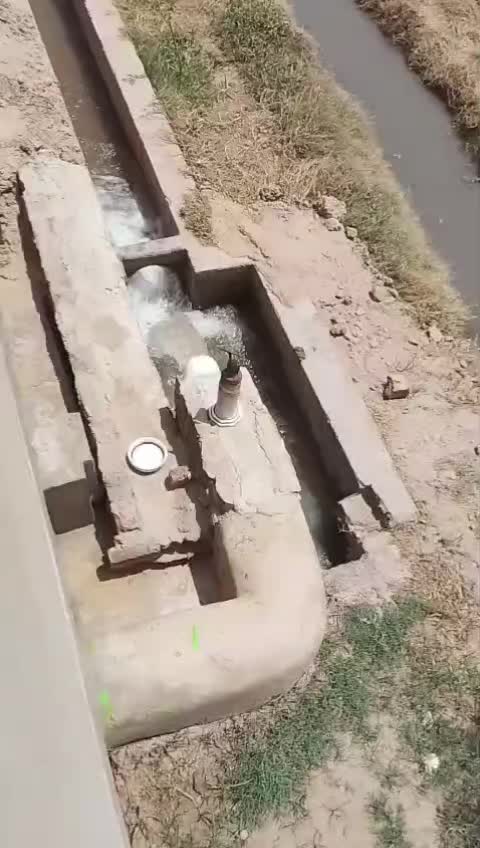 @Malik Dairy Farm 265HR