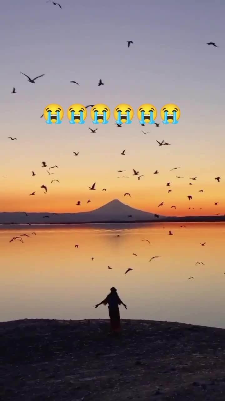 @acı hayat