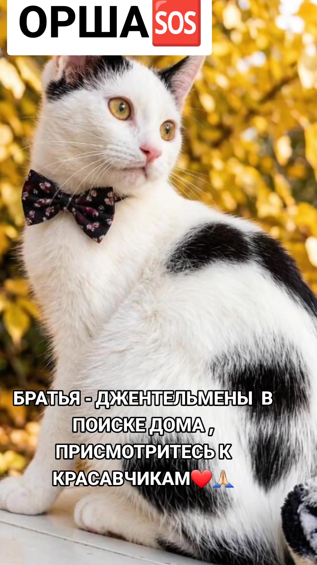 @marinka20_09