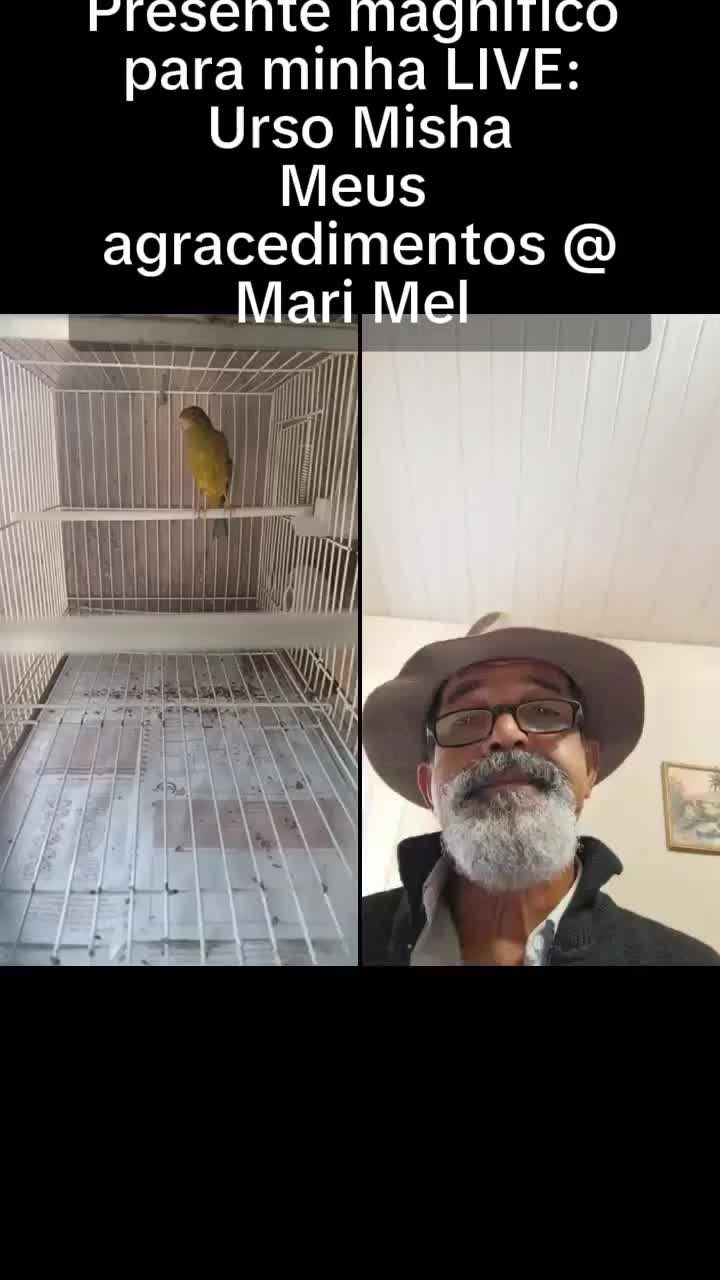 @🇧🇷CANÁRIL Rod SANTOS🇧🇷