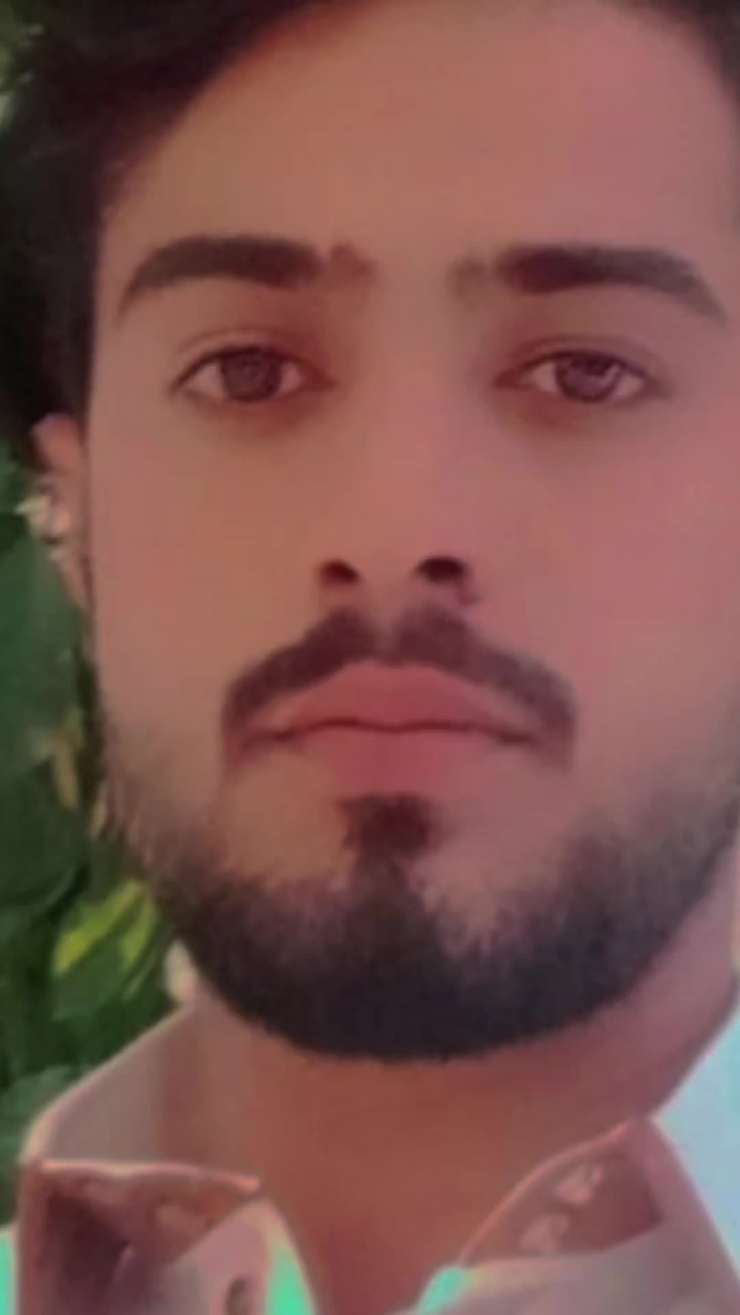 @ar_zoo5