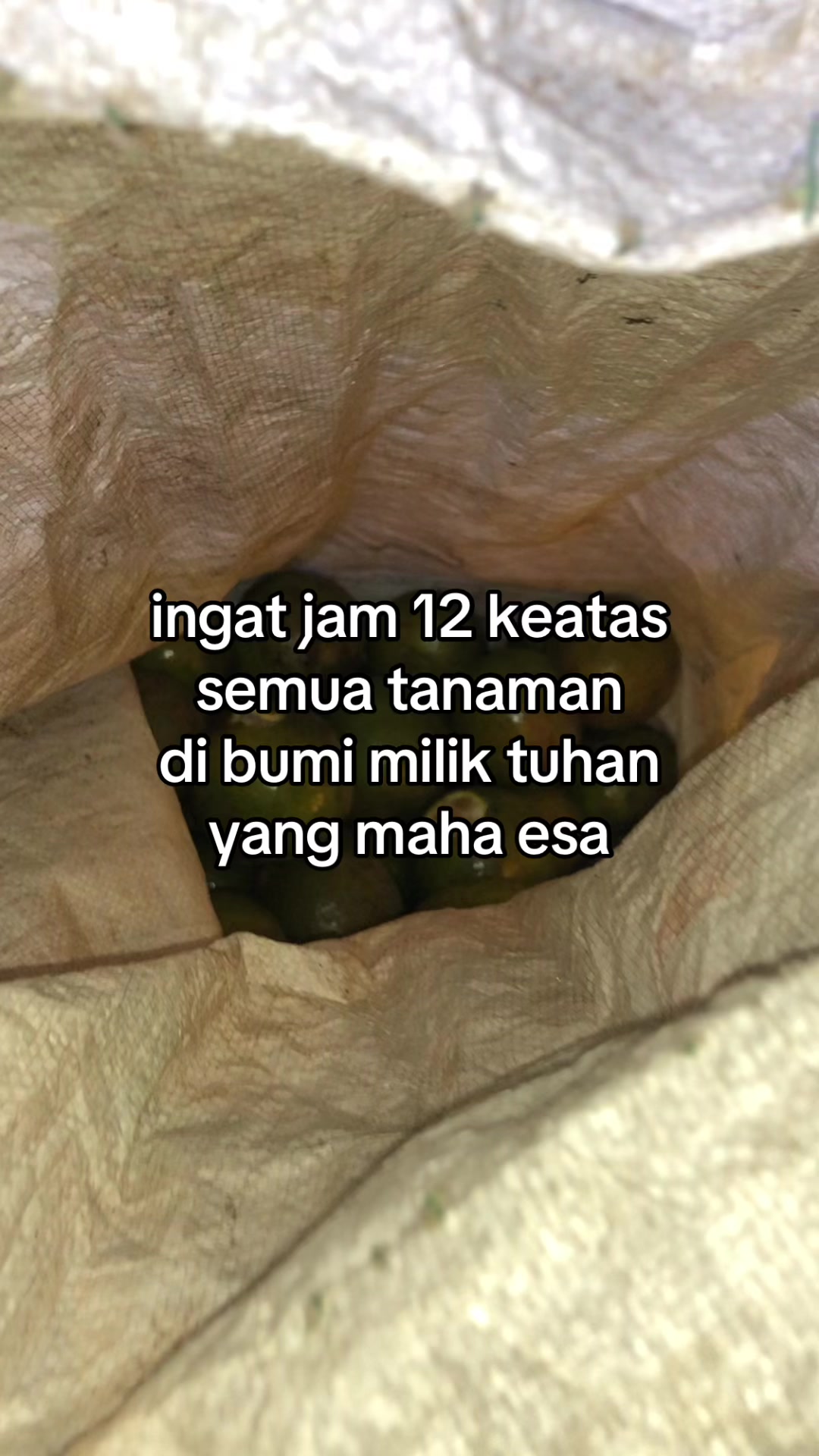 @𝕯𝖔𝖓🦅