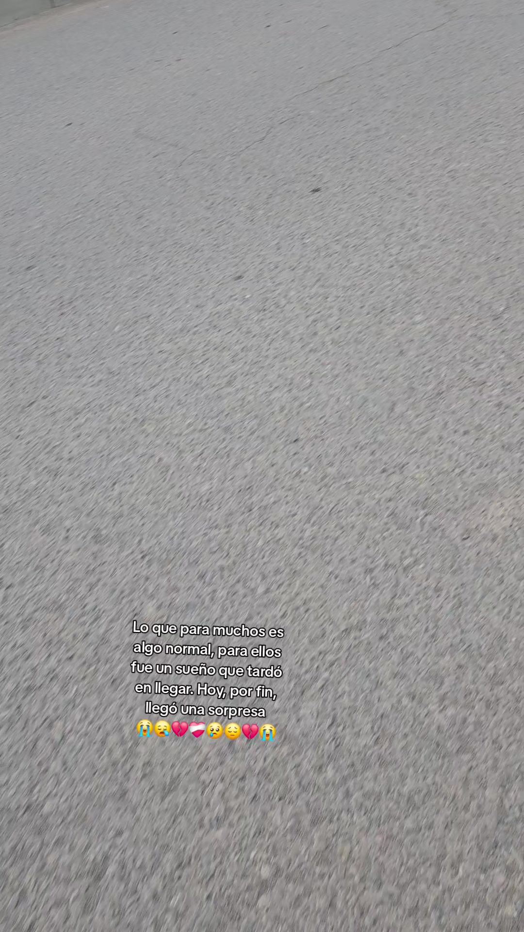 @soy.renekko
