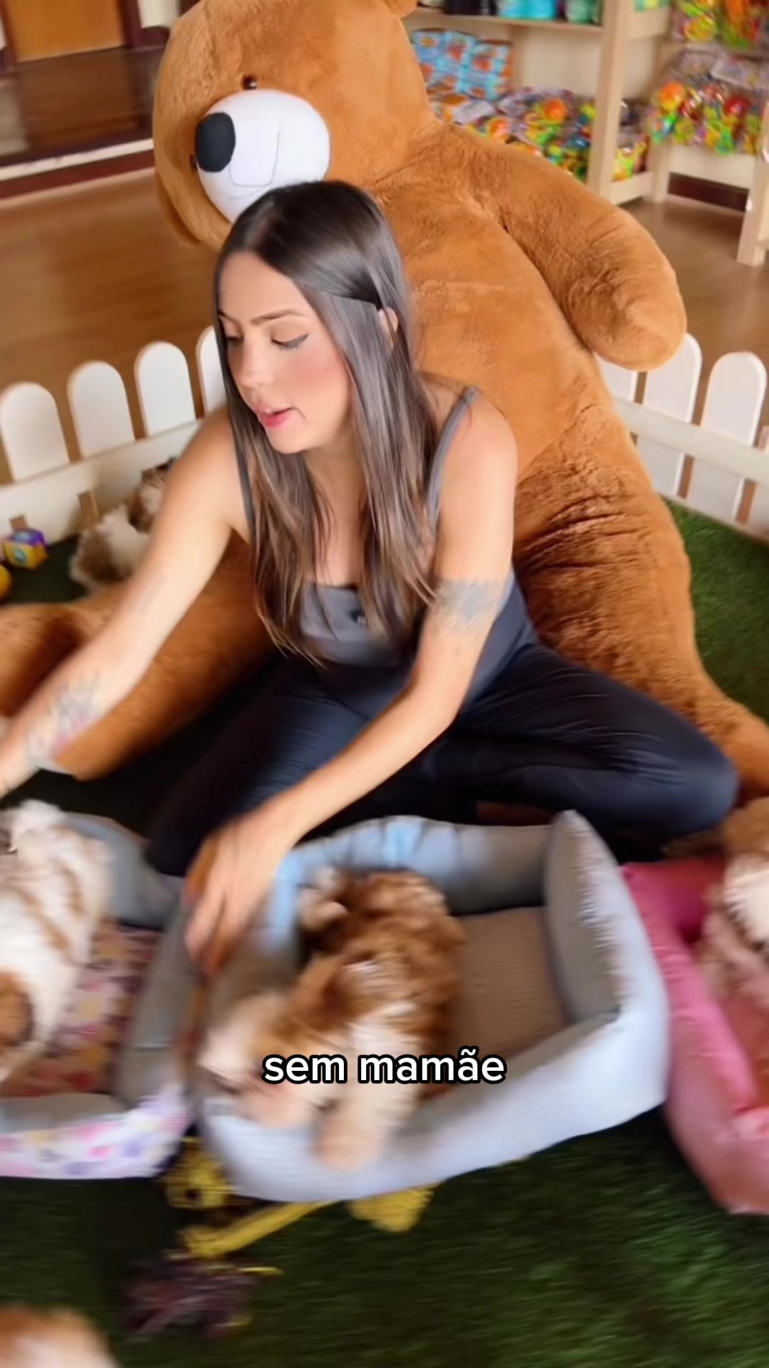 @Casa dos Ursinhos