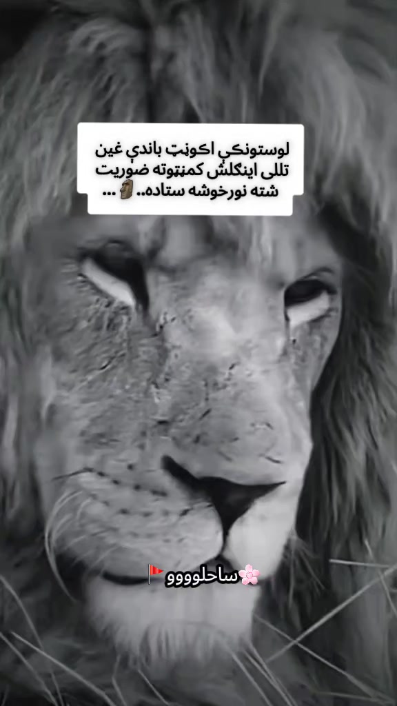 @𝄞⃝🧸 ســاحــلــوو 🖤🍫