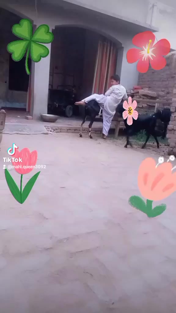 @Yasmeen hujra 👑🥰