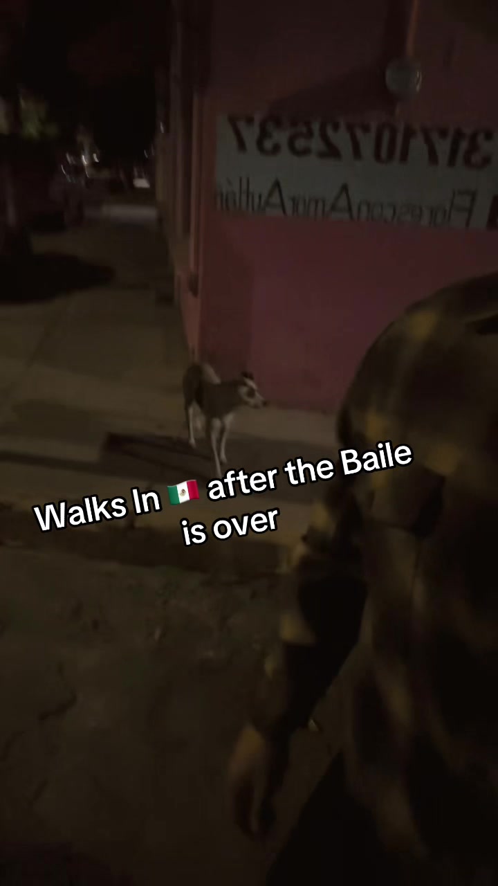 @N03