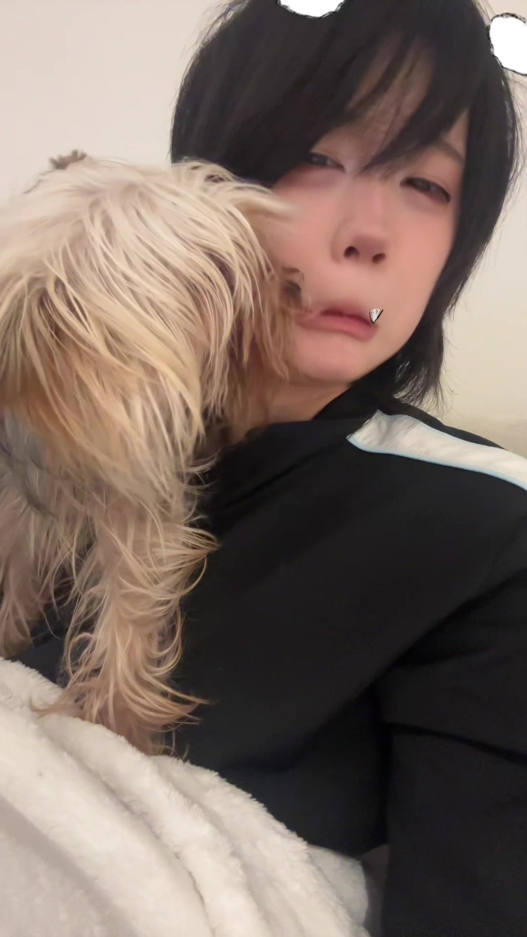 @meowies
