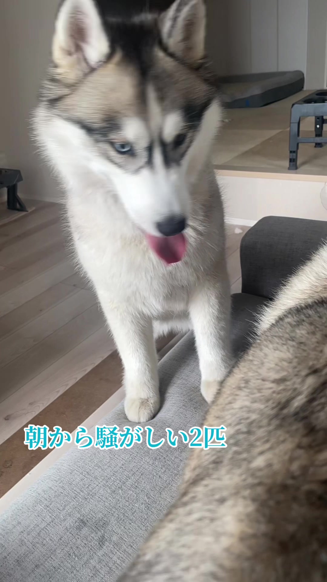 @サン☀️とムーン🌙