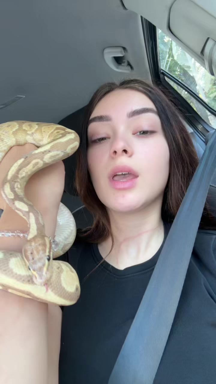 @MM