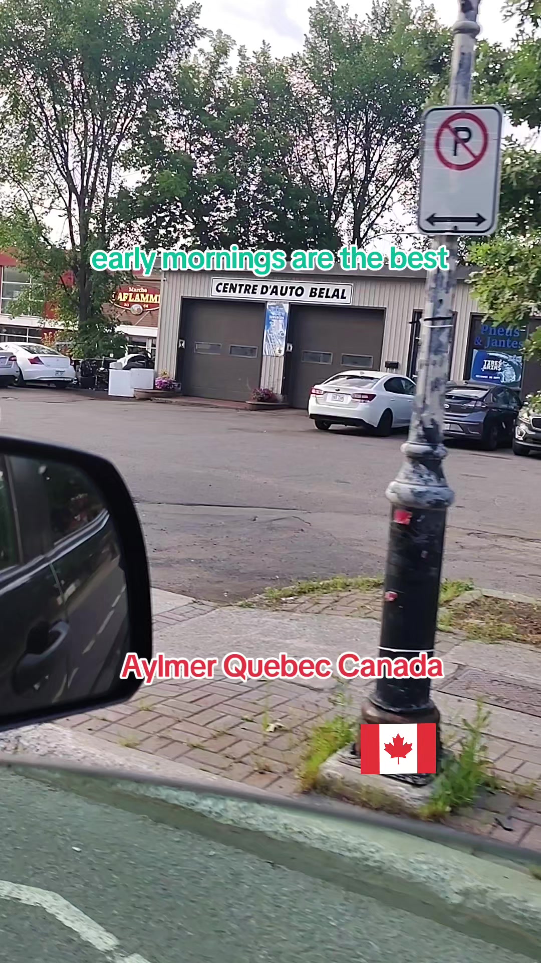 @Chantal Pigeau  frenchie