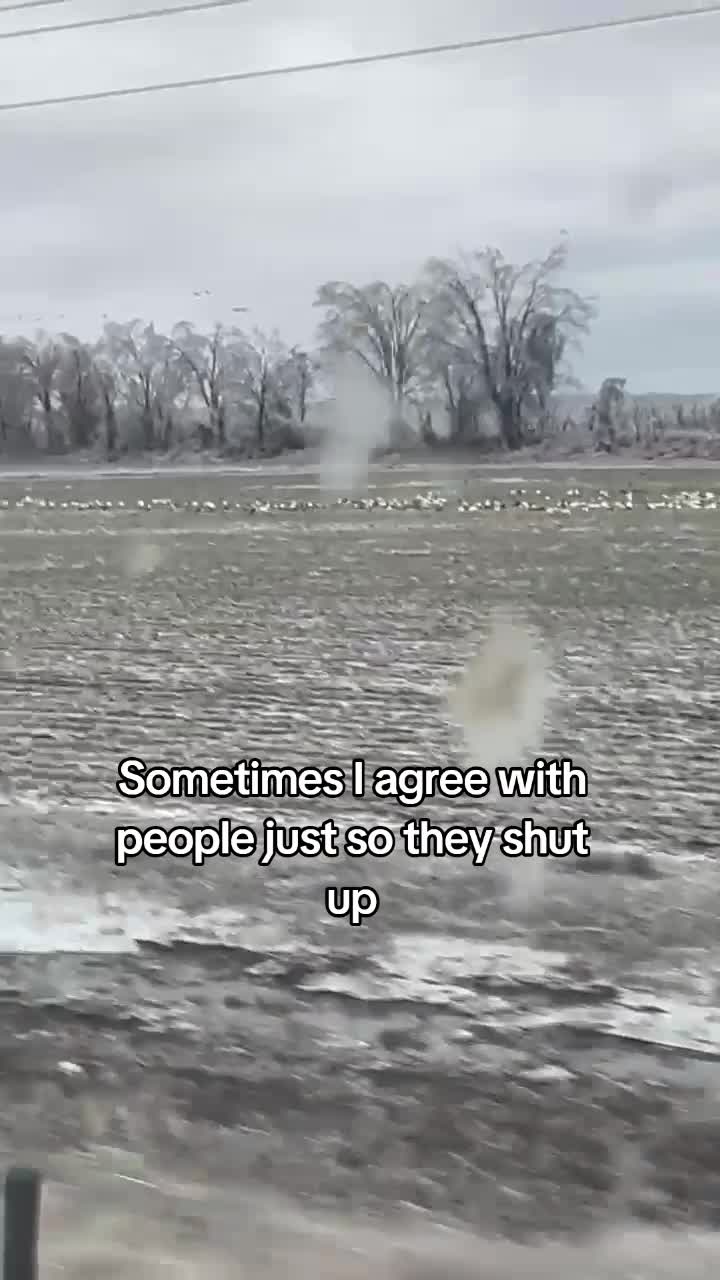 @D.Krinkov