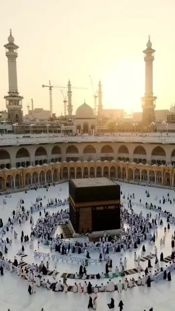 @Laila