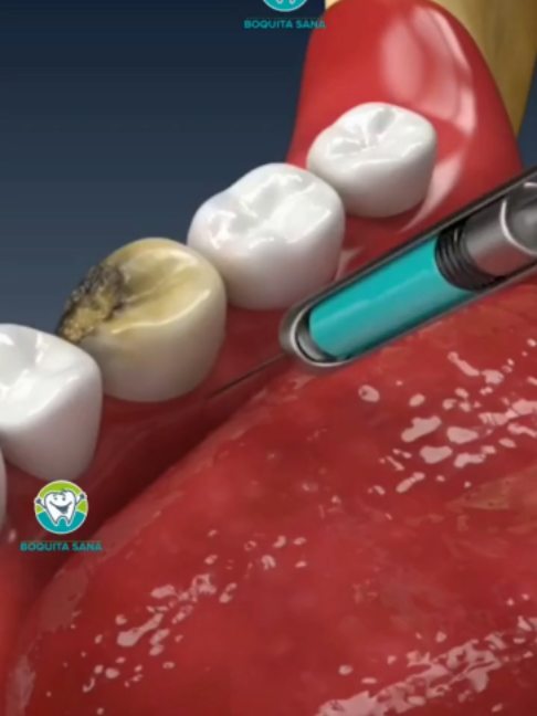 @Boquita sana - Odontolog&iacute;a