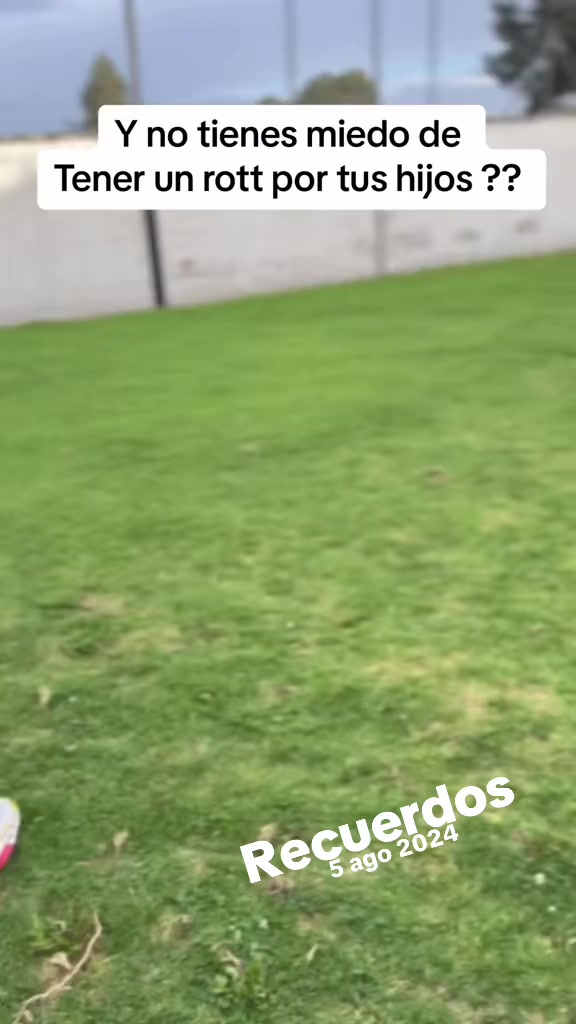 @I love DOGS