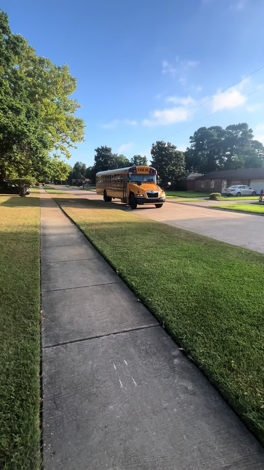 @Bluebirdbus302