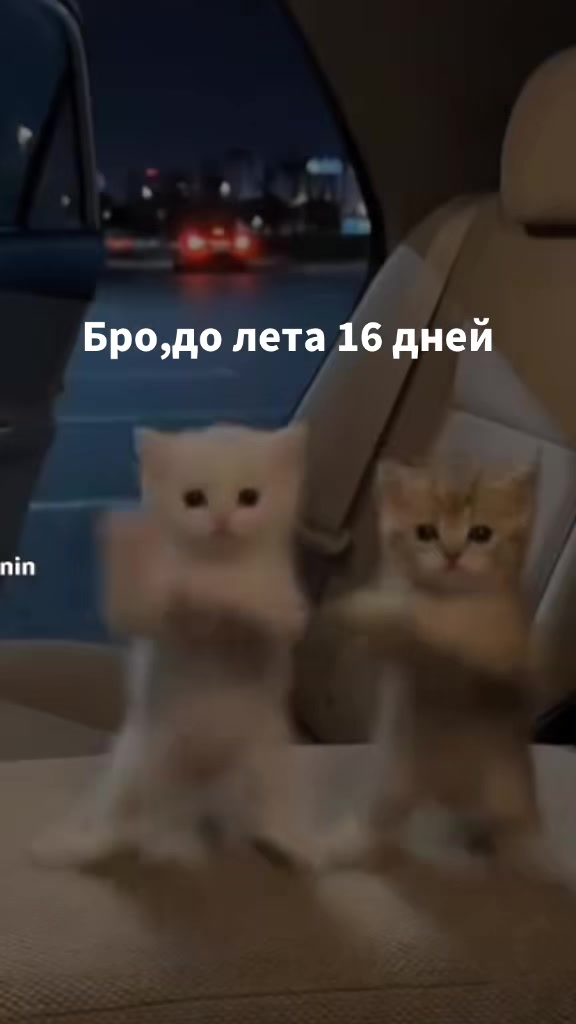 @‼️‼️ЧИКЕН ГАН‼️‼️