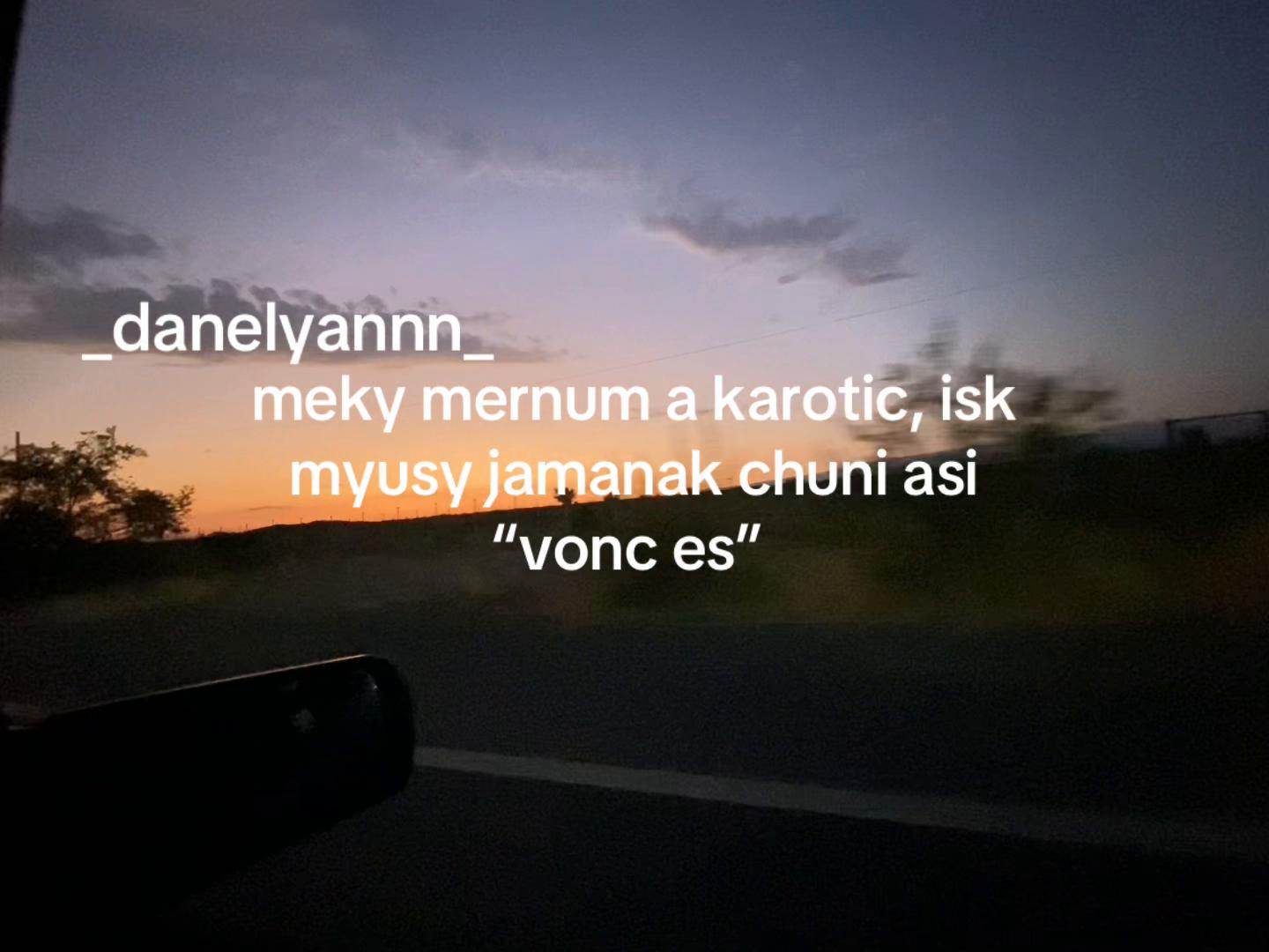@_danelyannn_