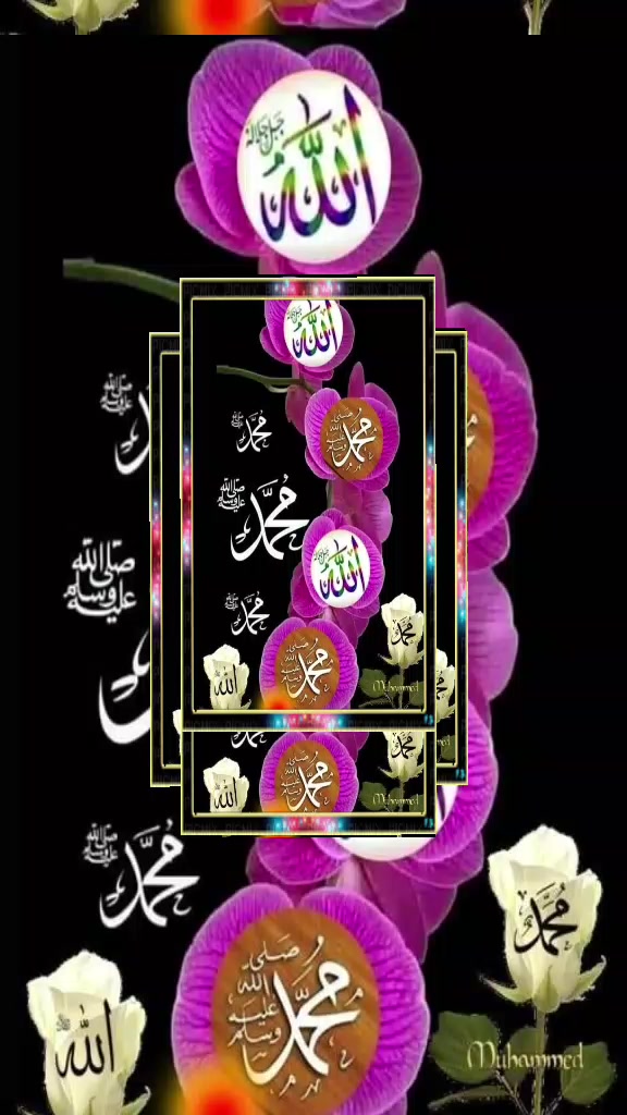 @Hina Malik